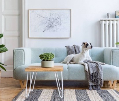 Dog Friendly Retreats, Devon