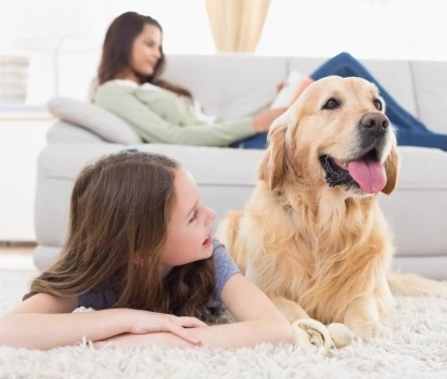 Dog Friendly Retreats, Devon