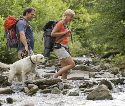 Dog Friendly Retreats, Devon