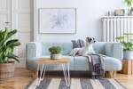 Dog Friendly Retreats, Devon