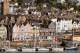 Dartmouth Photography - Tony Pike