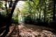 Dartmouth Photography - Tony Pike